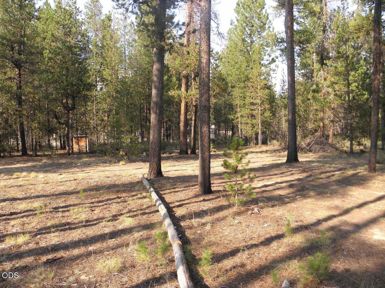 Photo of 15845 Twin 5 of 10