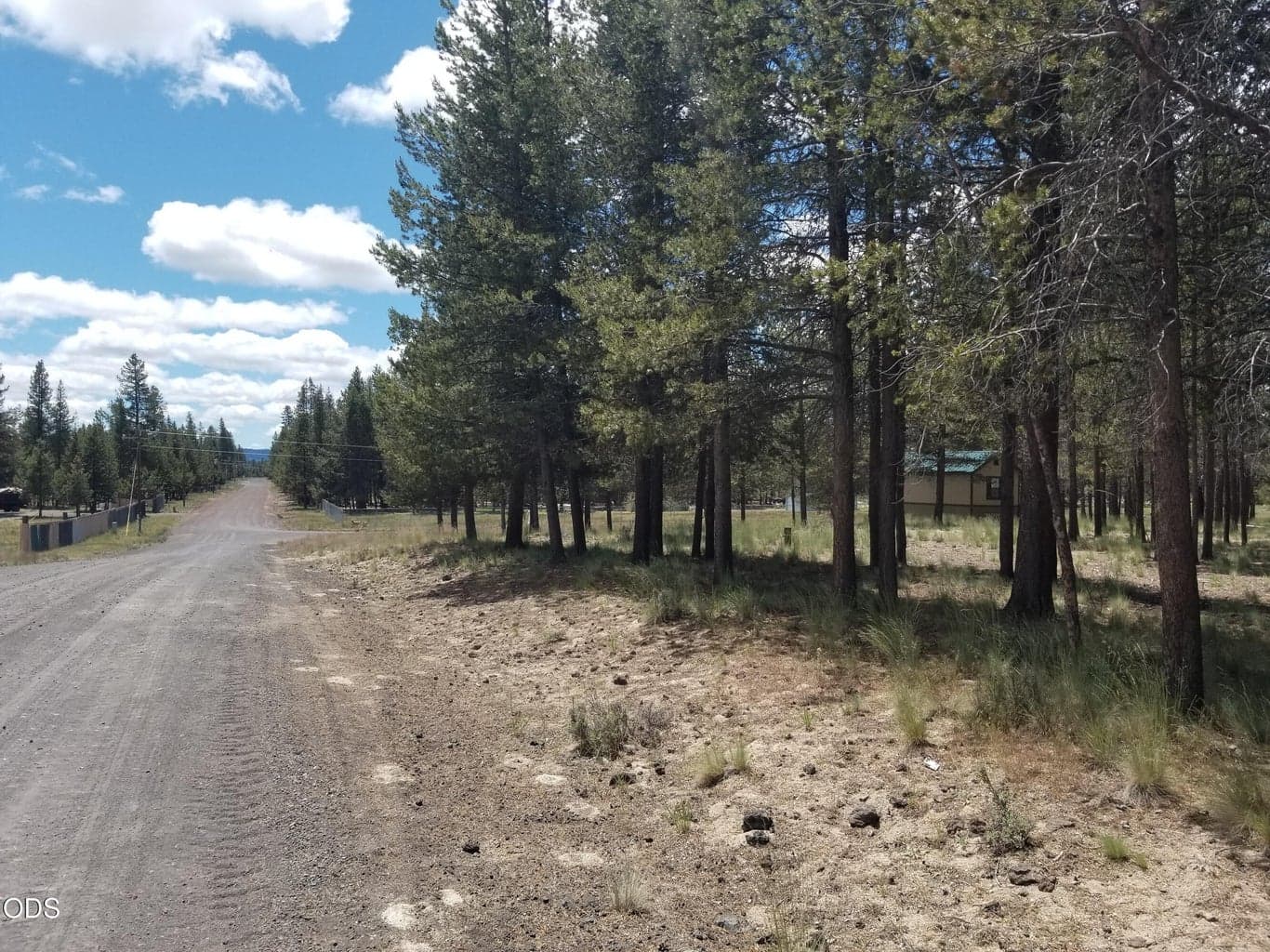 Photo of Birchwood 3 of 16