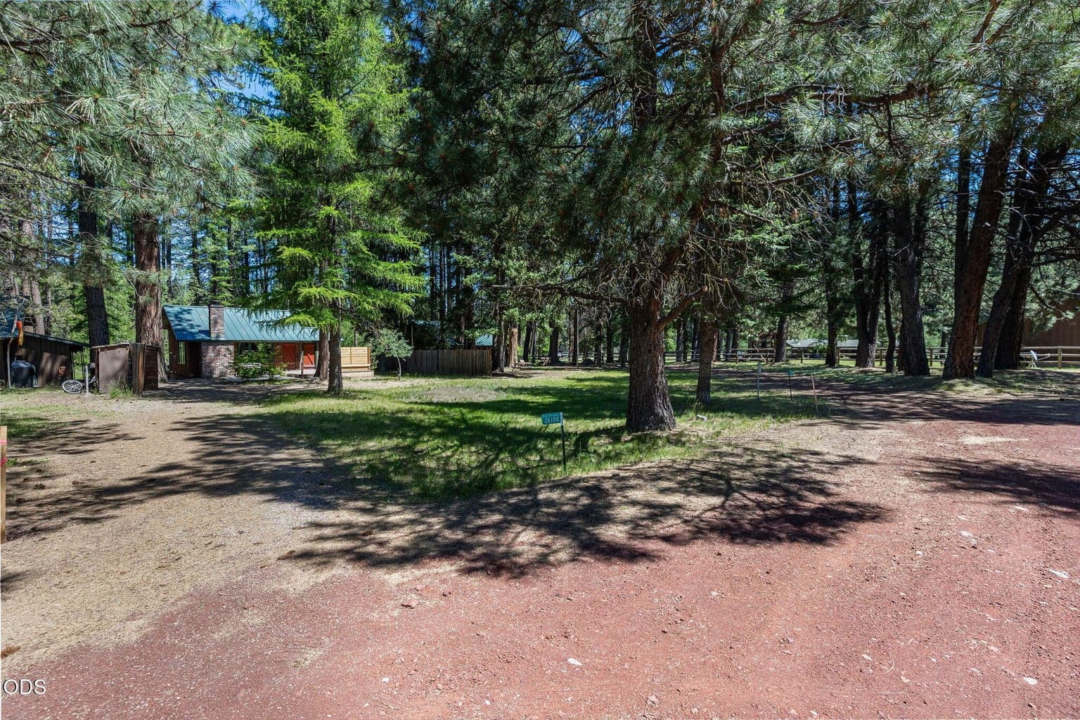26104 Pine