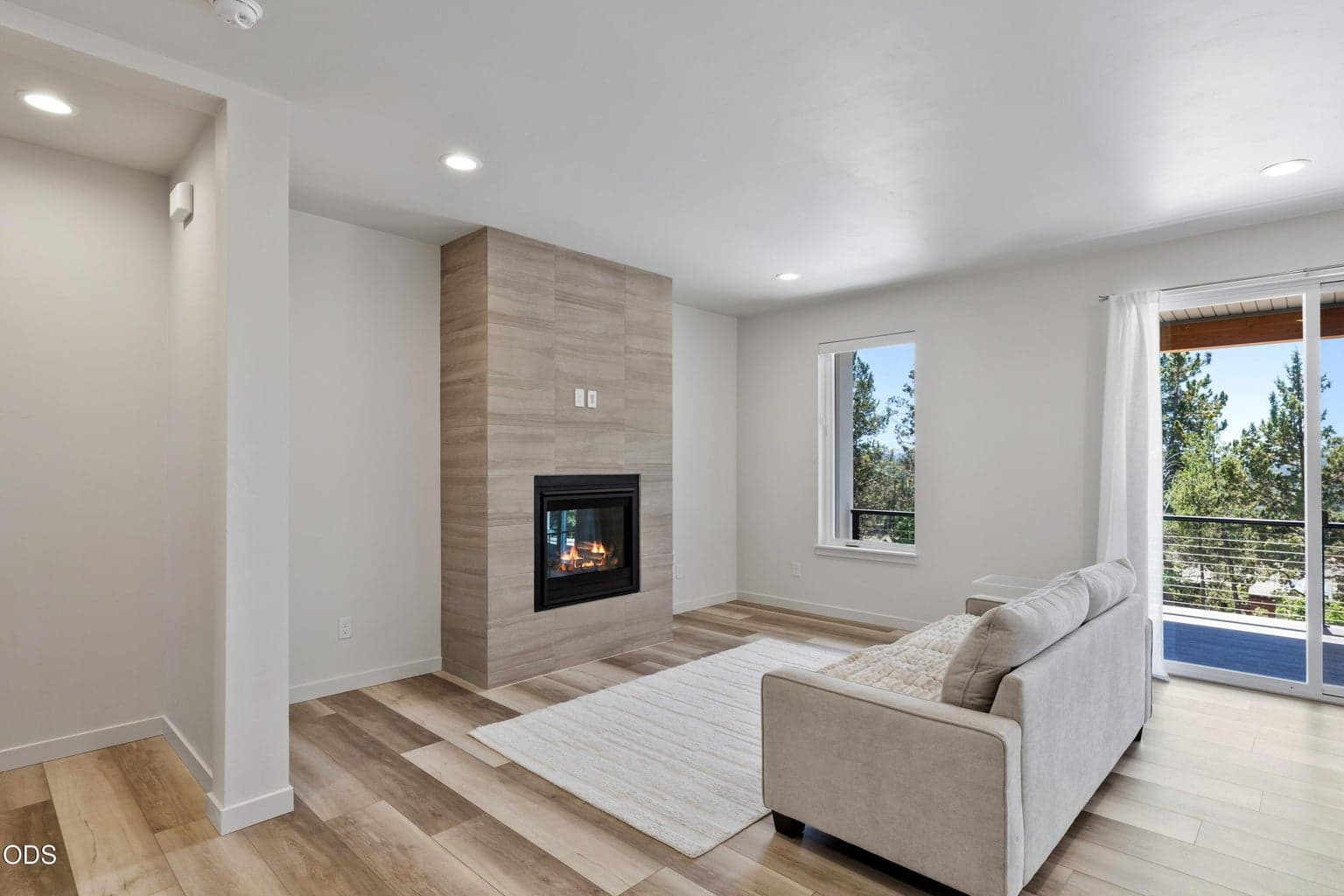 gas fireplace
