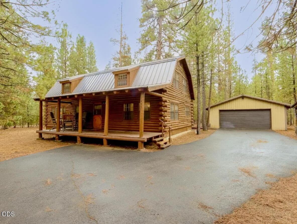 14887 Sugar Pine