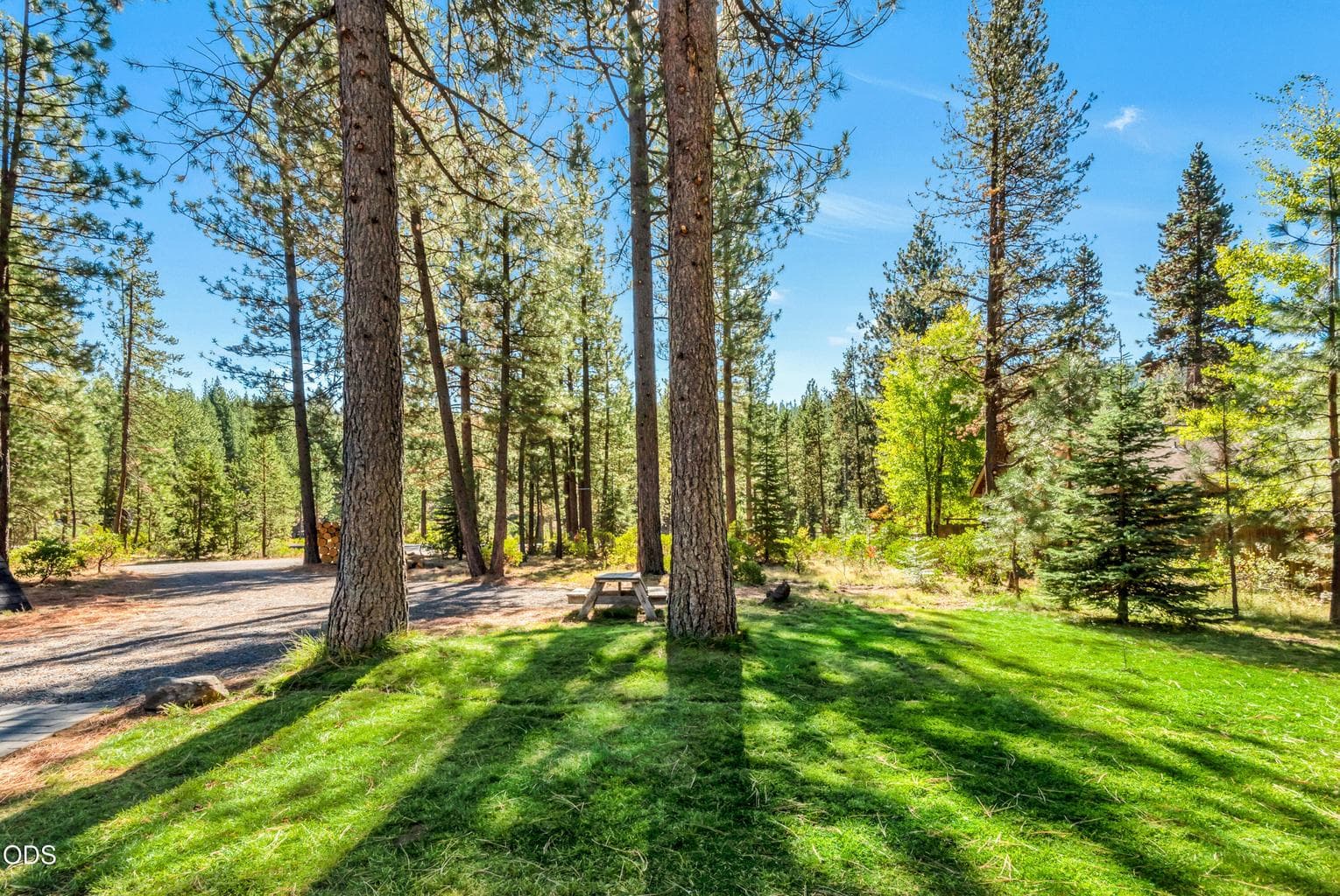 Photo of 61579 Boulder 5 of 32