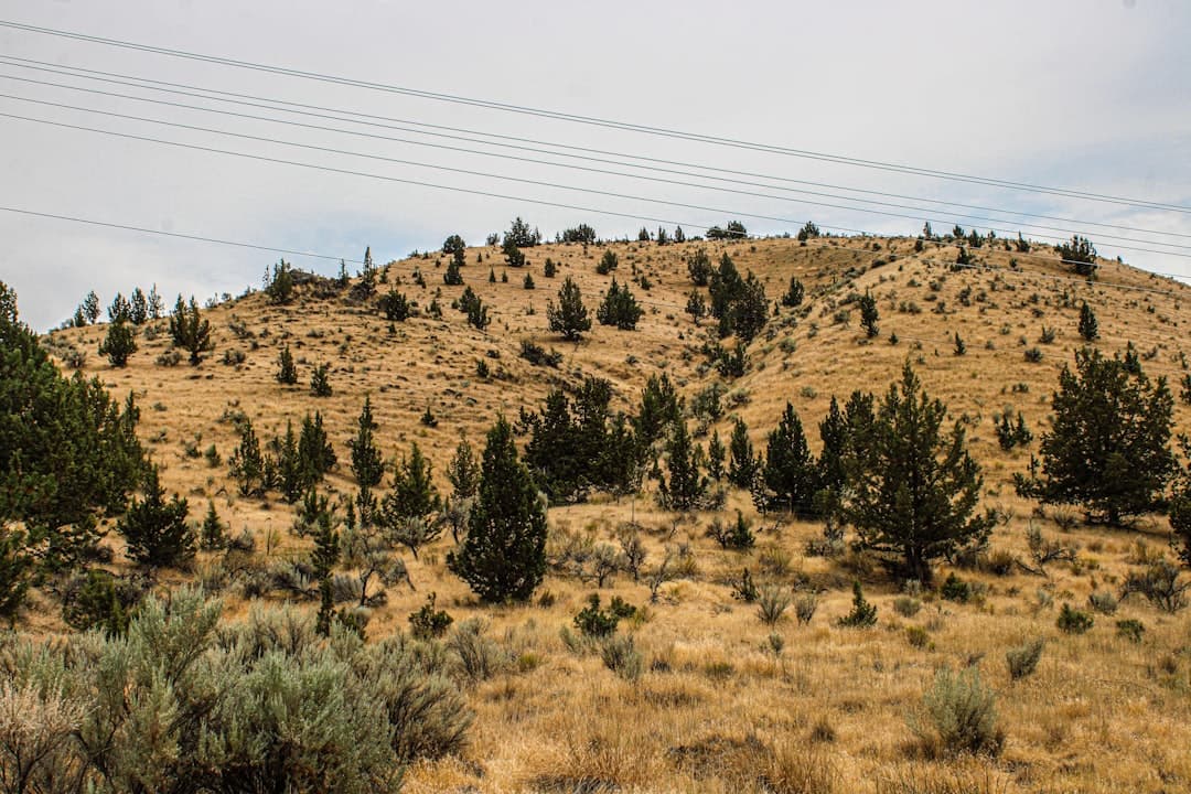Bend