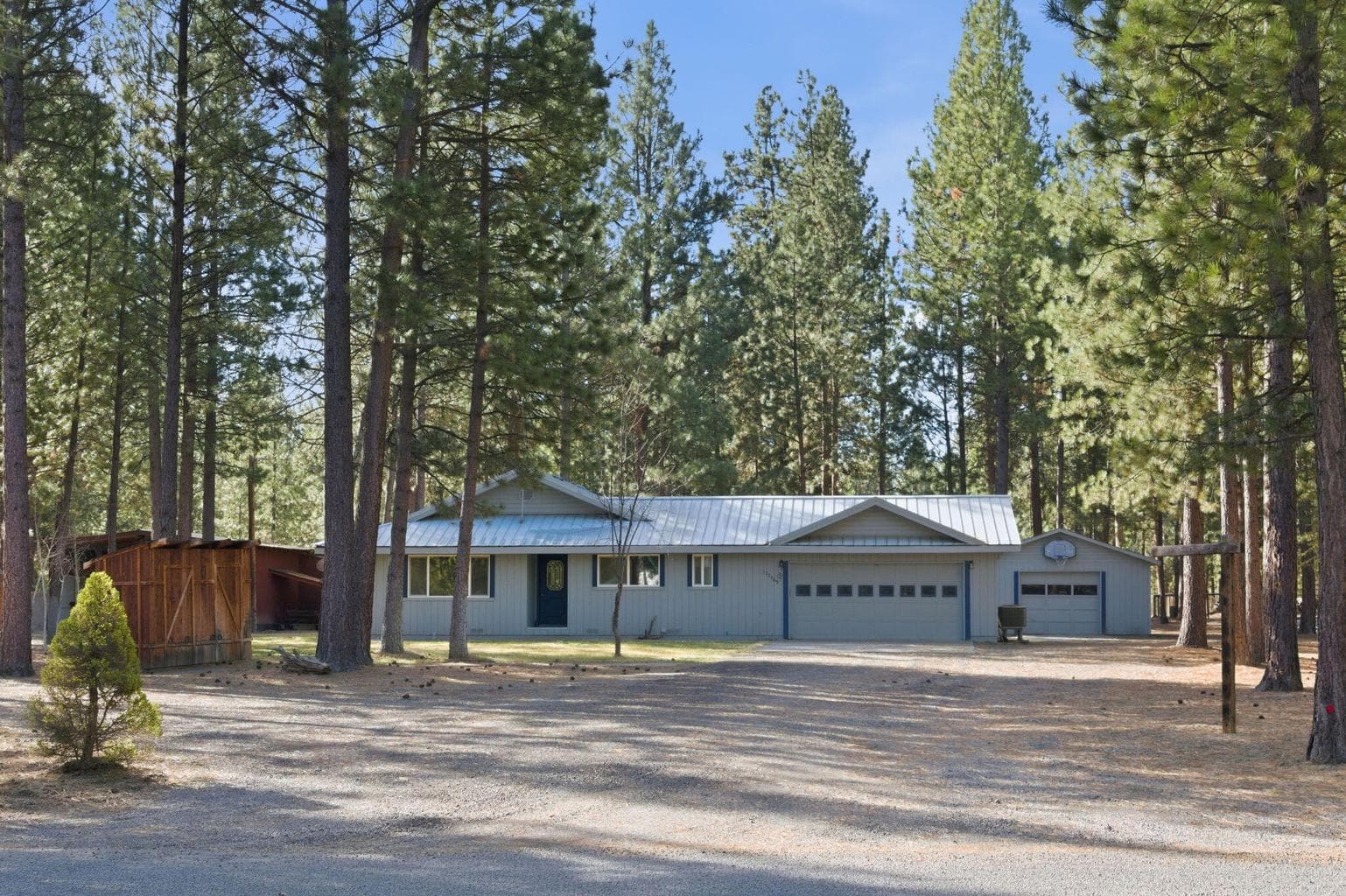 153469 Hackamore