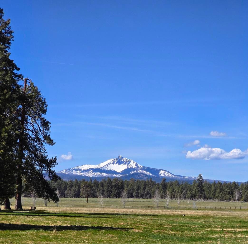 353 Pine Meadow