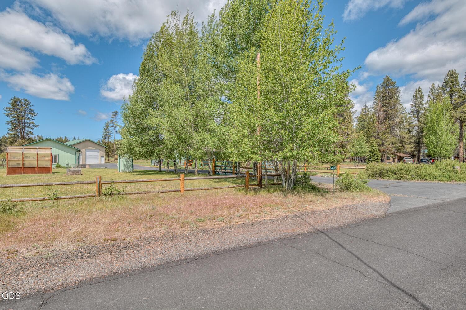 53939 Pine Grove